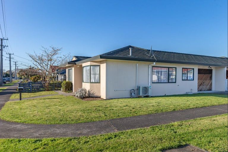 Photo of property in 106 Winchester Street, Levin, 5510