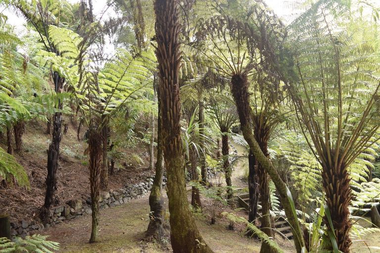 Photo of property in 5 Johnson Lane, Haruru, 0204