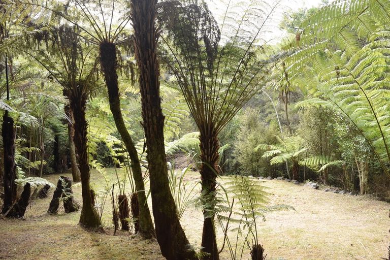 Photo of property in 5 Johnson Lane, Haruru, 0204