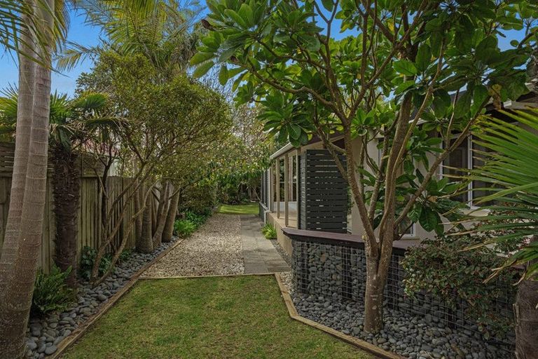 Photo of property in 299 Pohutukawa Avenue, Ohope, 3121