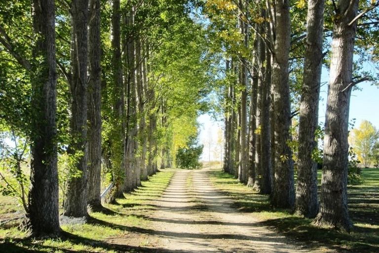 Photo of property in 479 Manuherikia Road, Springvale, Alexandra, 9393