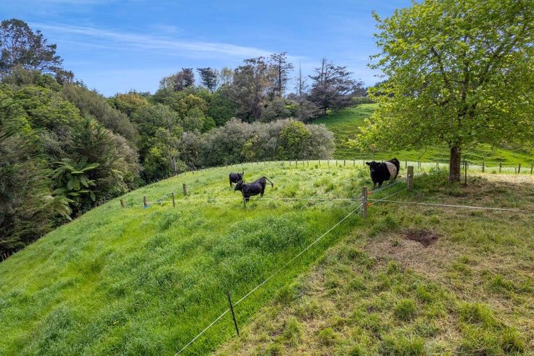 Photo of property in 275 Henwood Road, Paraite, New Plymouth, 4372