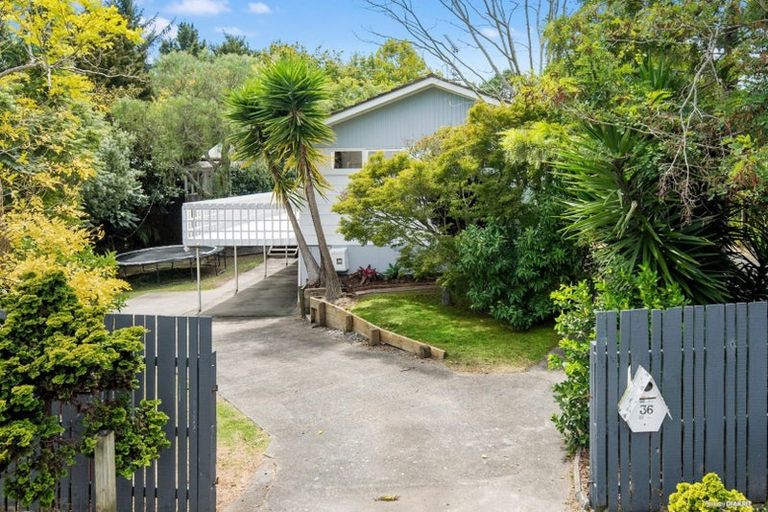 Photo of property in 36 Weatherly Road, Torbay, Auckland, 0630