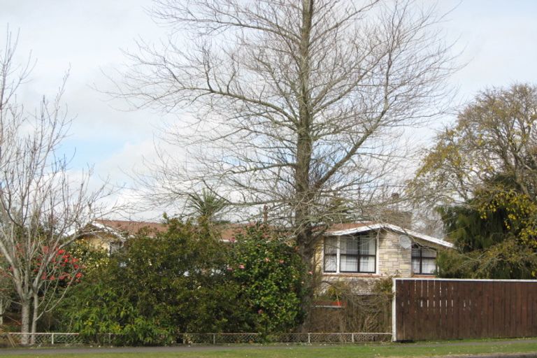 Photo of property in 71 Celia Street, Stratford, 4332