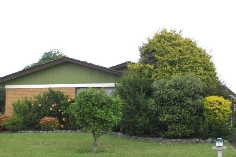 Photo of property in 17 Ti Nana Crescent, Henderson, Auckland, 0610