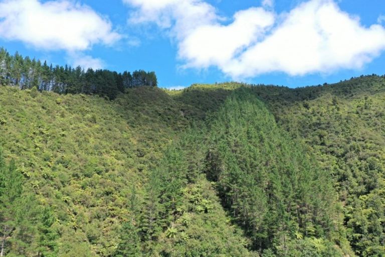 Photo of property in 340 Tutaetoko Road, Toatoa, Opotiki, 3197