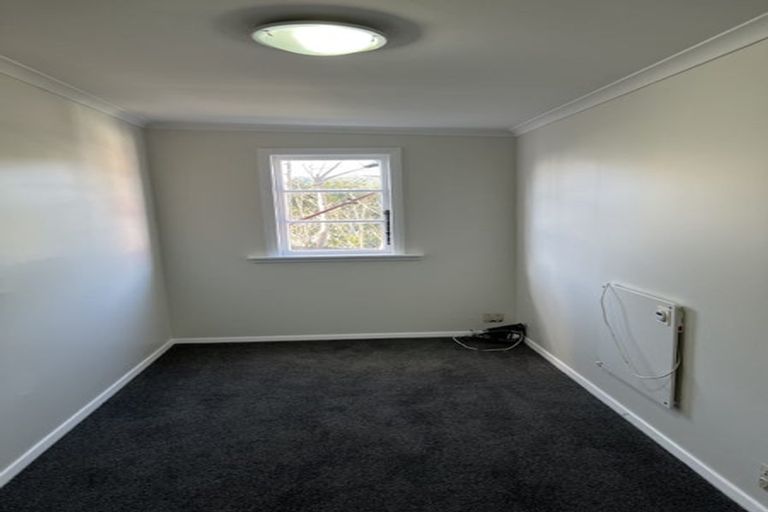 Photo of property in 17 Bidwill Street, Mount Cook, Wellington, 6021
