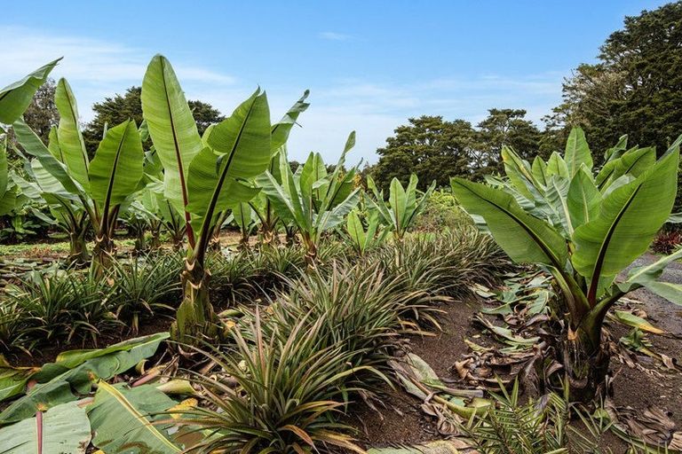 Photo of property in 304 Mangakahia Road, Maungatapere, Whangarei, 0179