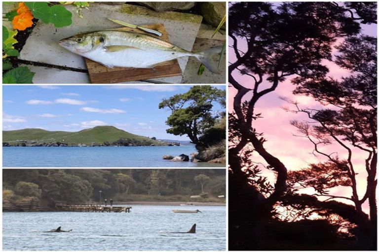 Photo of property in 579 Te Akau Wharf Road, Te Akau, Ngaruawahia, 3793