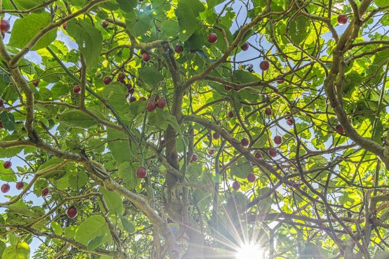 Photo of property in 10b Hickford Place, Okato, 4335