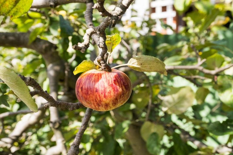 Photo of property in 87 Awahuri Road, Feilding, 4702