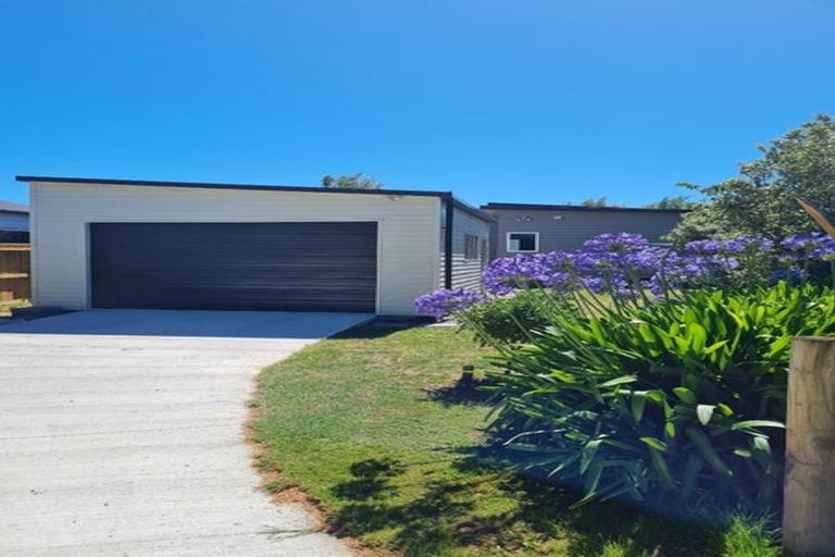 Photo of property in 77 Dublin Street, Martinborough, 5711
