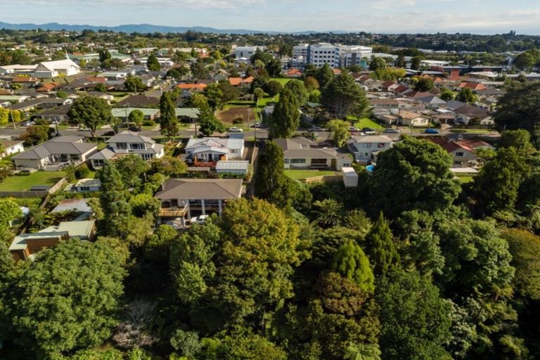 Photo of property in 26 Botanical Road, Tauranga South, Tauranga, 3112