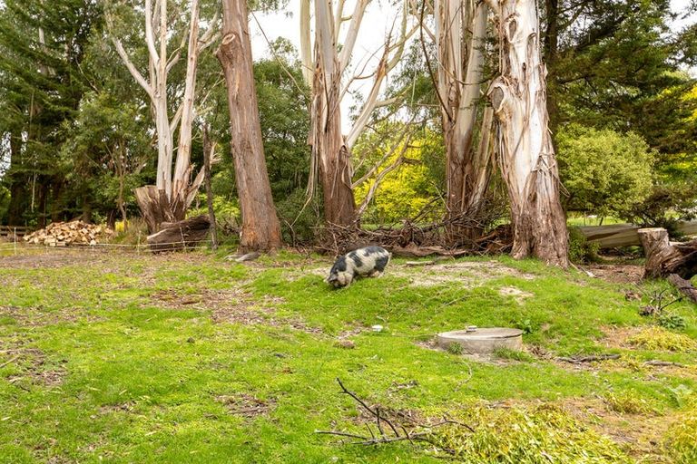 Photo of property in 73 Castle Hill Road, Alfredton, Eketahuna, 4996