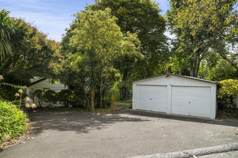 Photo of property in 132c Cameron Road, Te Puke, 3119