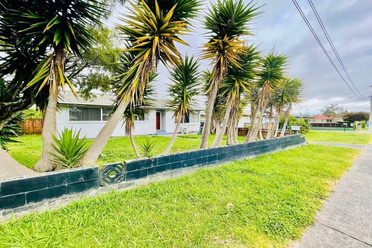 Photo of property in 61 Sheehan Avenue, Papakura, 2110