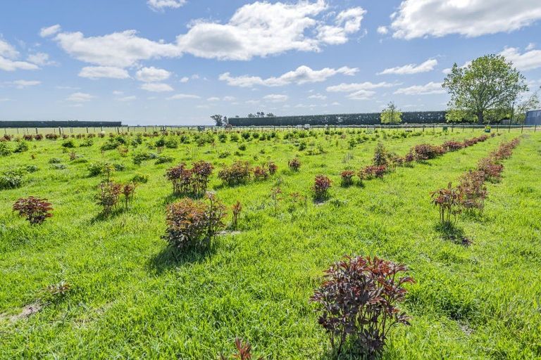 Photo of property in 253 Burts Road, Southbridge, Leeston, 7682