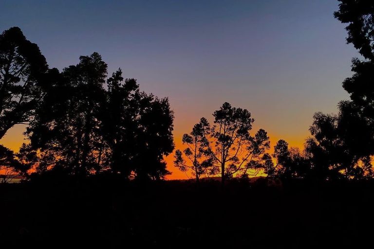 Photo of property in 90 Park Road, Titirangi, Auckland, 0604