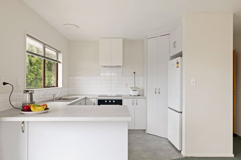 Photo of property in 43 Tahunanui Drive, Tahunanui, Nelson, 7011