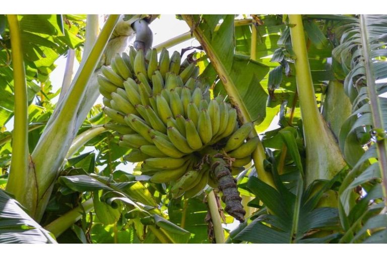 Photo of property in 15 Quinces Landing, Kerikeri, 0293