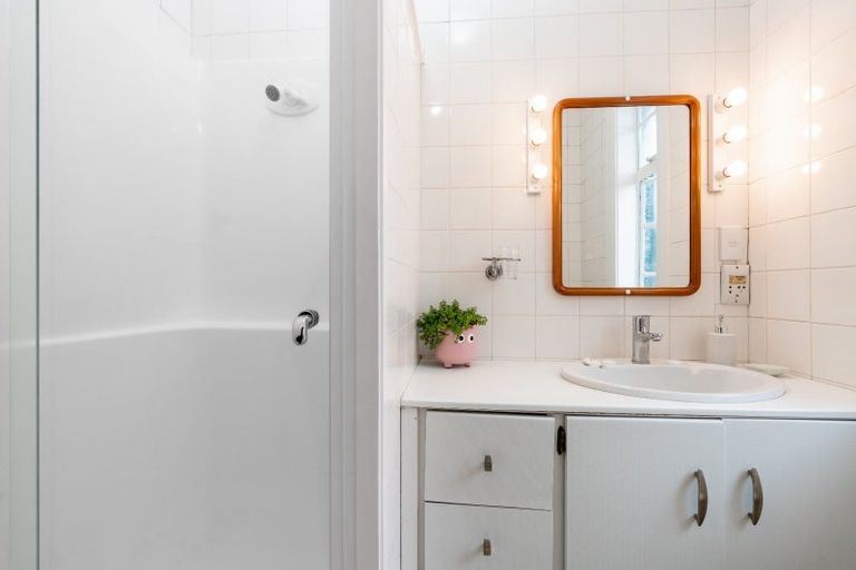 Photo of property in Pukehinau Flats, 4/1 Brooklyn Road, Mount Cook, Wellington, 6011