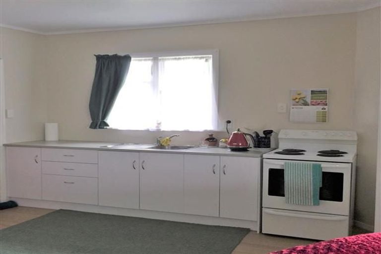 Photo of property in 38 Wilton Street, Levin, 5510