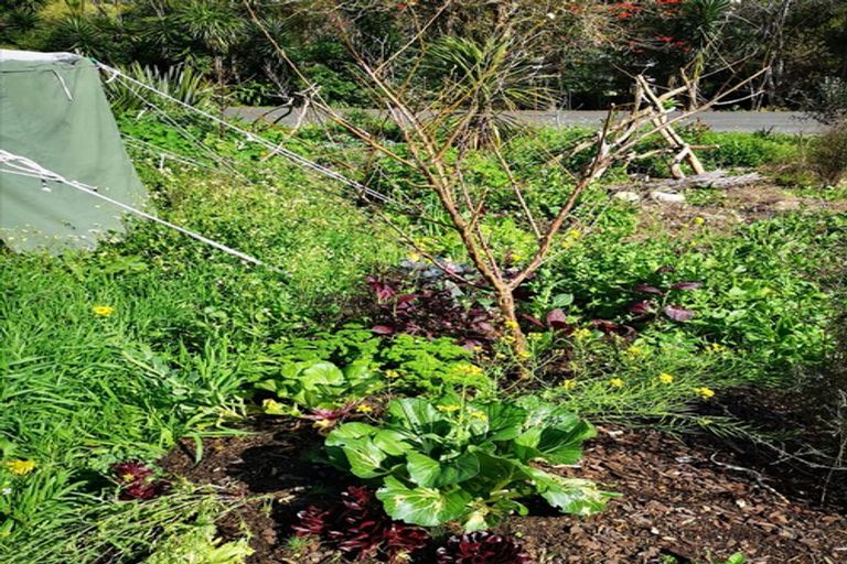 Photo of property in 26 Pacific Bay Road, Tutukaka, Whangarei, 0173