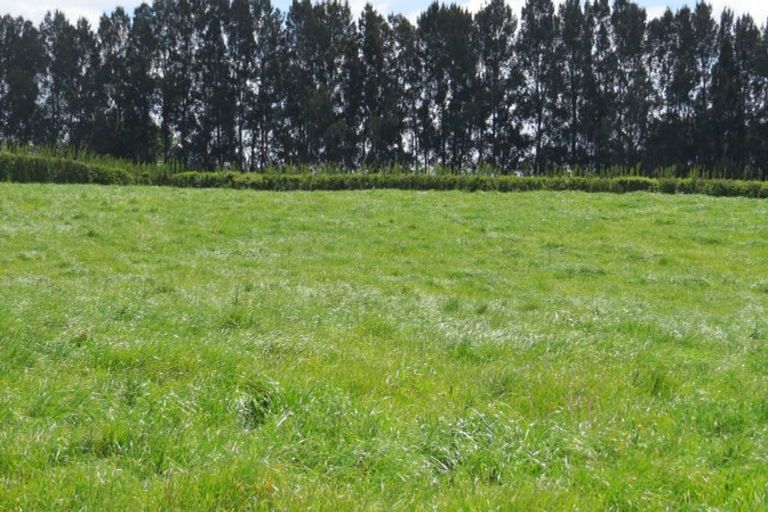 Photo of property in 58 Ryburn Road, Ohaupo, 3883