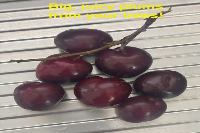 Photo of property in 161 Hautapu Street, Taihape, 4720