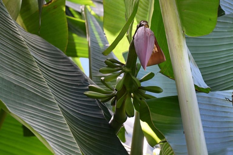 Photo of property in 19 Beverley Crescent, Hillcrest, Hamilton, 3216