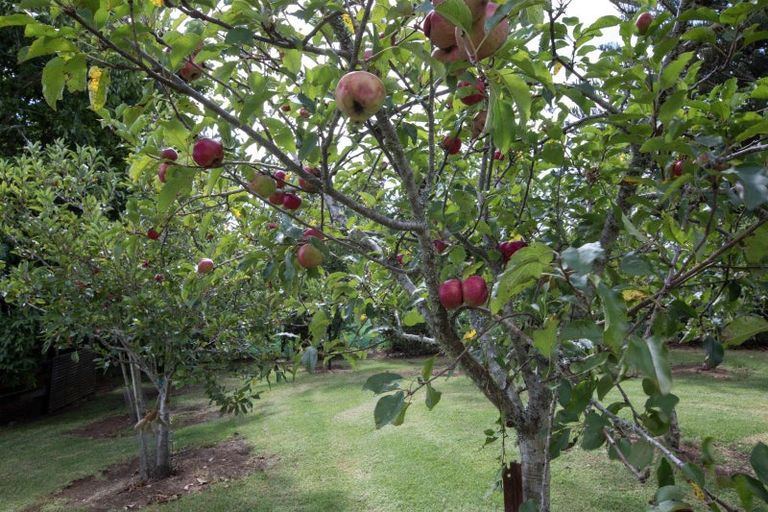 Photo of property in 264 Okokako Road, Waimate North, Kerikeri, 0293