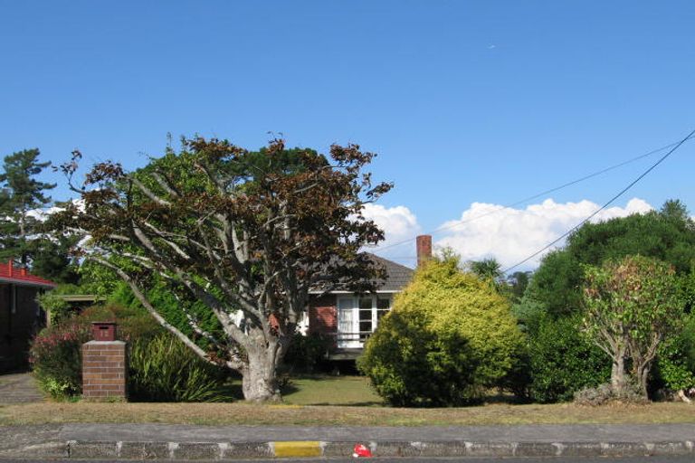 Photo of property in 12 Tiki Street, New Lynn, Auckland, 0600