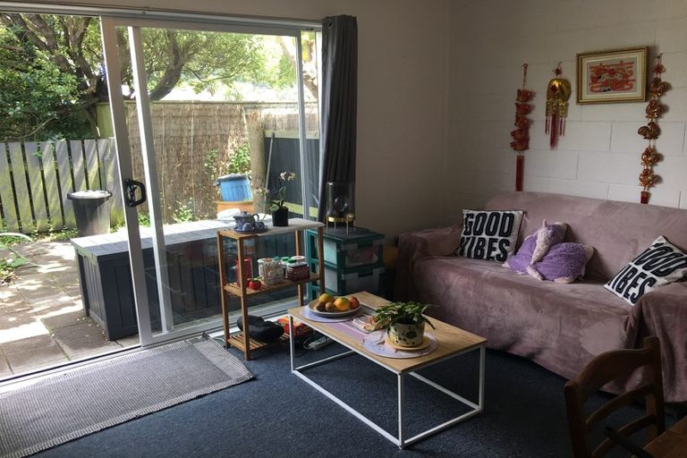 Photo of property in 5/17 Udy Street, Petone, Lower Hutt, 5012