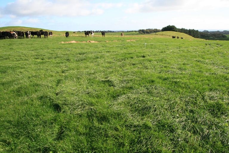 Photo of property in 192 Dover Road, Okato, New Plymouth, 4374