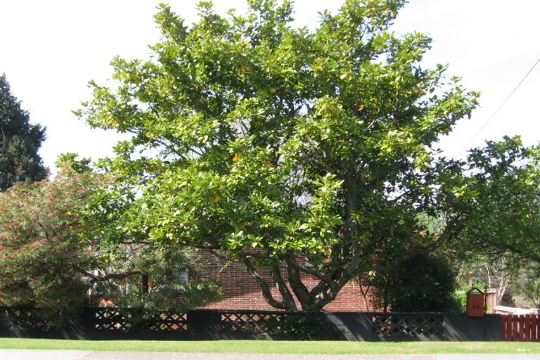 Photo of property in 48 Gordon Road, Western Heights, Rotorua, 3015