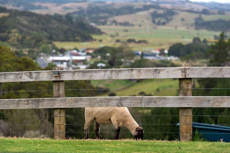 Photo of property in 175 Alpine Road, Kaukapakapa, 0873