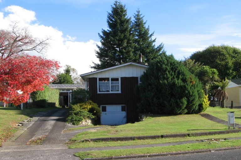 Photo of property in 12 Stirling Place, Tokoroa, 3420