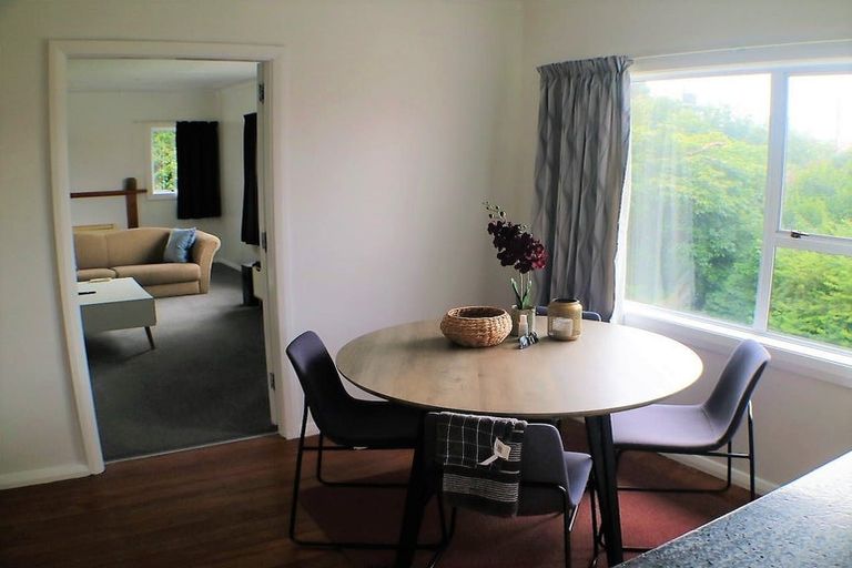 Photo of property in 211 Forfar Street, Maryhill, Dunedin, 9011