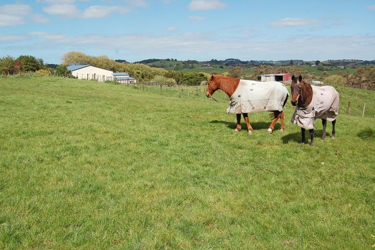 Photo of property in Gibbons Road, Kaiwaka, 0573