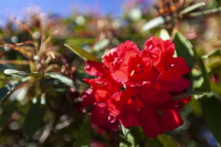 Photo of property in 9-11 Rosebank Grove, Waikanae, 5036