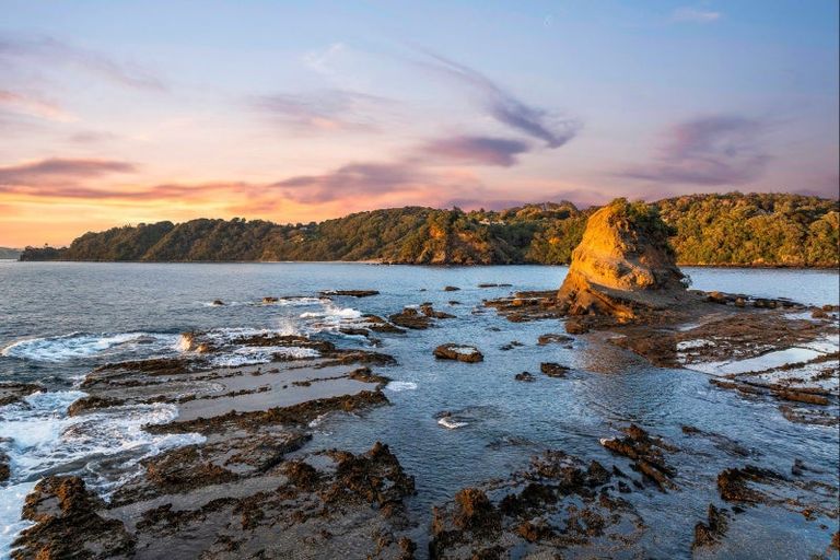 Photo of property in 25 Ti Point Road, Ti Point, Leigh, 0985