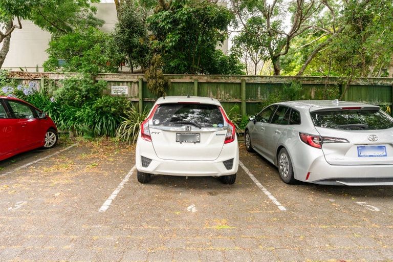 Photo of property in Pukehinau Flats, 4/1 Brooklyn Road, Mount Cook, Wellington, 6011