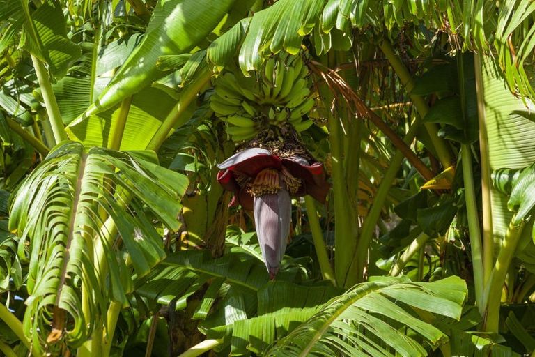 Photo of property in 379 Kaimaumau Road, Waiharara, Awanui, 0486