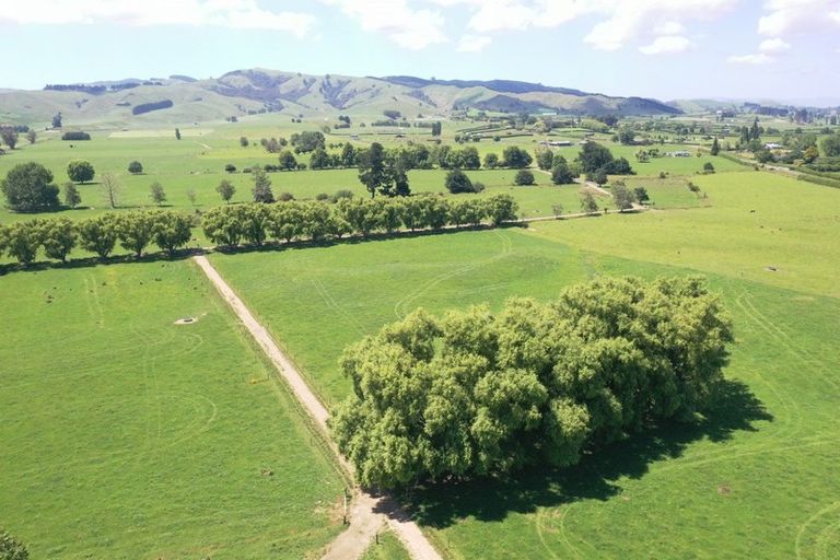 Photo of property in 231 Grice Road, Rotoorangi, Cambridge, 3495