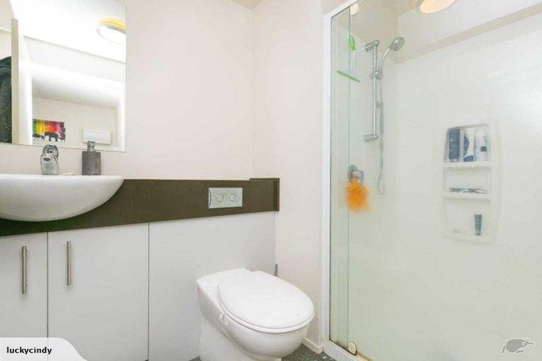 Photo of property in The Peak Apartments, 302/170 Taranaki Street, Te Aro, Wellington, 6011