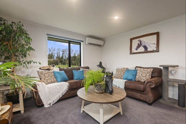 Photo of property in 119 Grey Street, Woodville, 4920