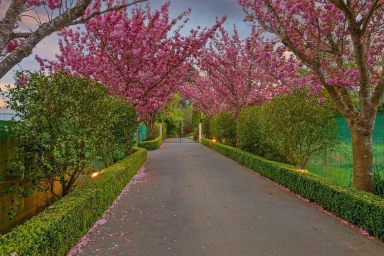 Photo of property in 101 Mchughs Road, Swannanoa, Kaiapoi, 7692