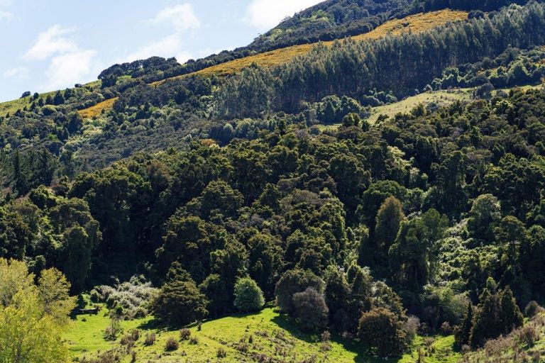 Photo of property in 292 Waipori Falls Road, Berwick, Outram, 9073