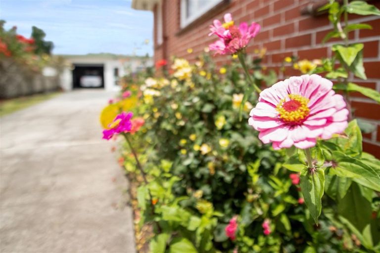 Photo of property in 141 Tirau Street, Putaruru, 3411