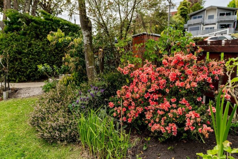 Photo of property in 36 Barr Street, Kenmure, Dunedin, 9011